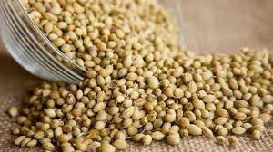 Top 9 Benefits of Coriander Seeds for Health