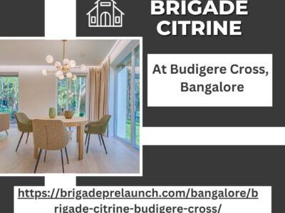 Brigade Citrine - Live the Life You Imagined