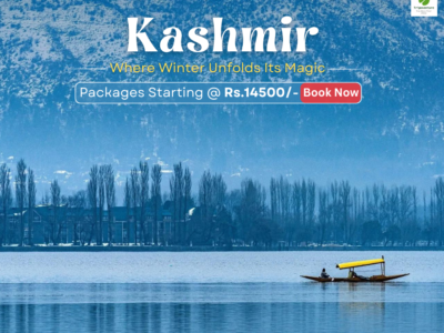 Enchanting Kashmir Honeymoon Package: Romantic Escapes with Tripoventure
