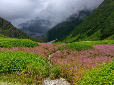 Valley of Flowers - A Himalayan Marvel