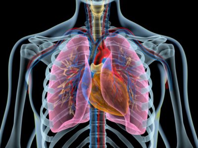 Method to Enhance Lungs Capacity